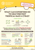 What can exporters do to help prevent Tropical Race 4 (TR4)?